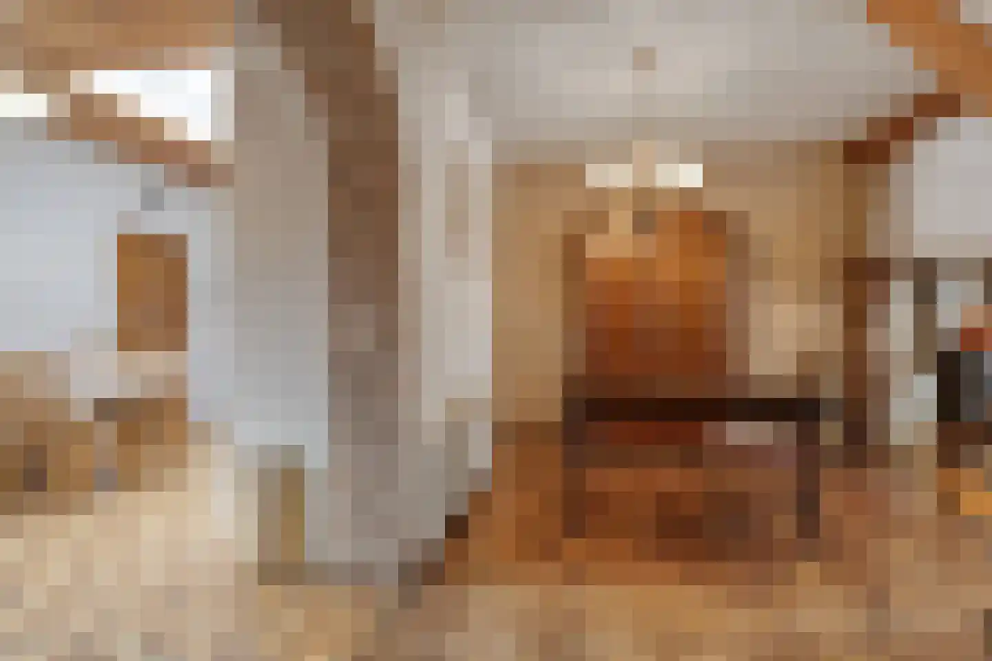 Ferdinand Bolstraat 32 Deurne thumbnail 11