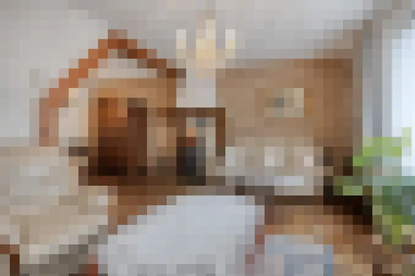 Ferdinand Bolstraat 32 Deurne thumbnail 14