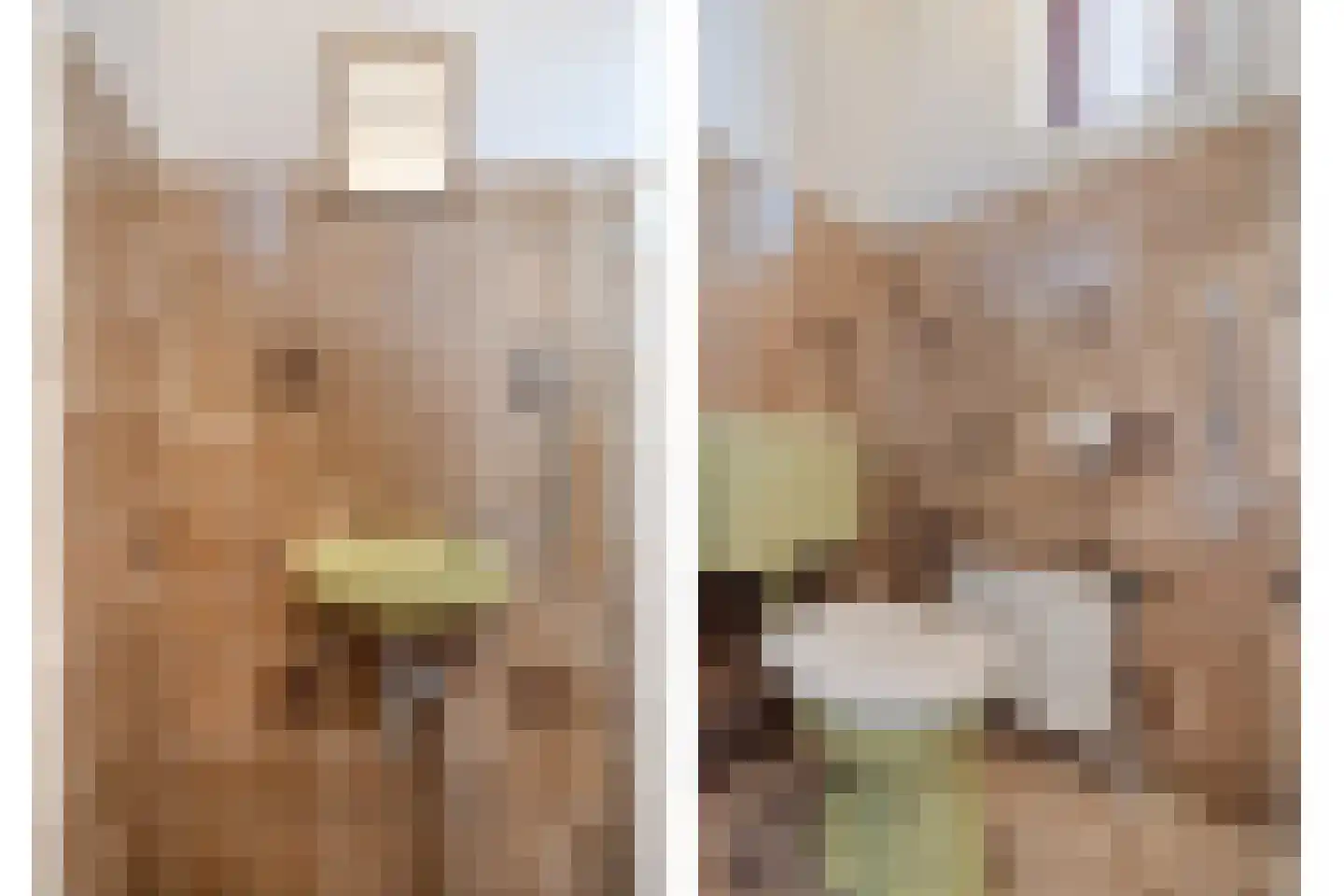 Ferdinand Bolstraat 32 Deurne thumbnail 21
