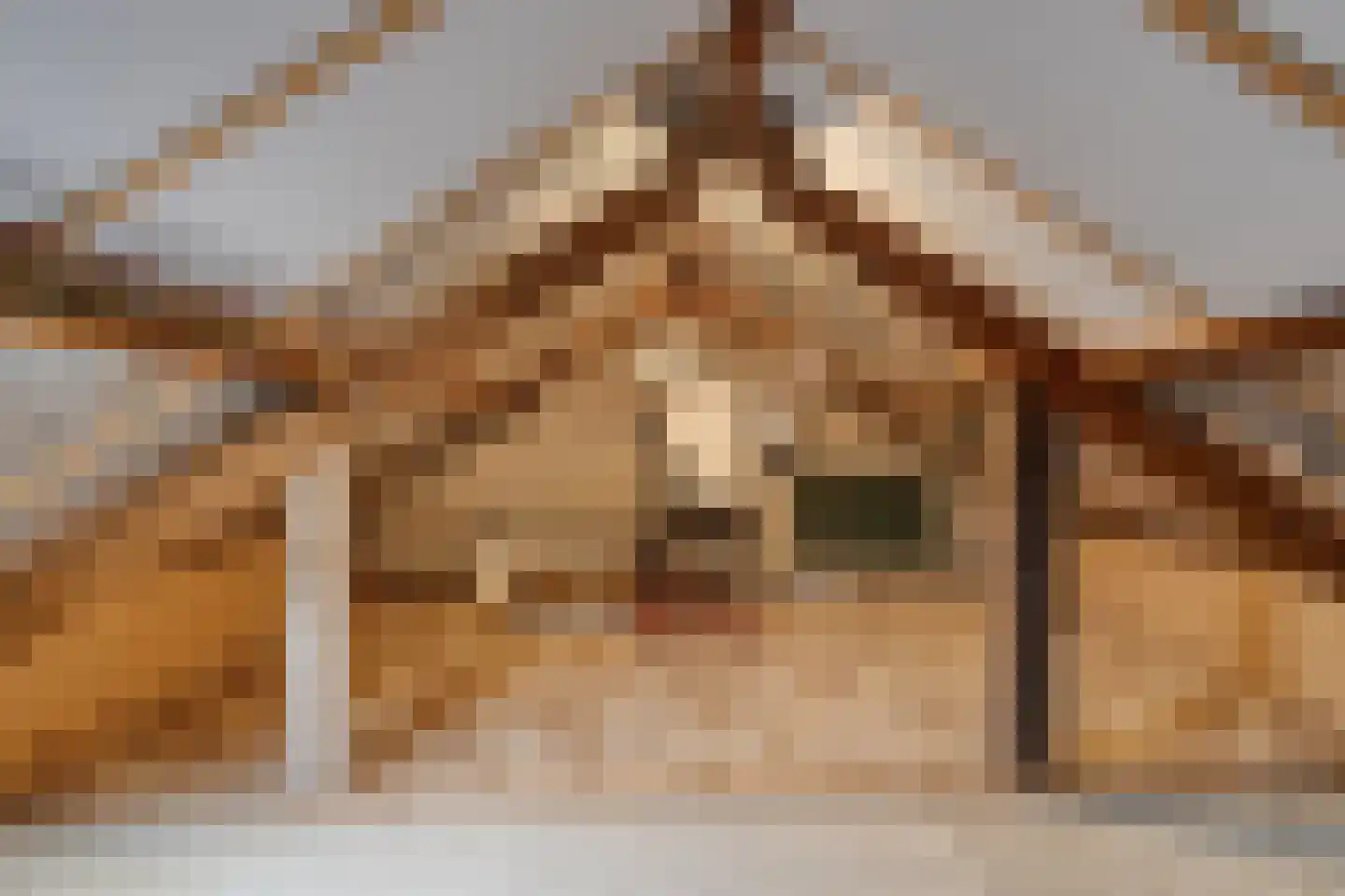 Ferdinand Bolstraat 32 Deurne thumbnail 29