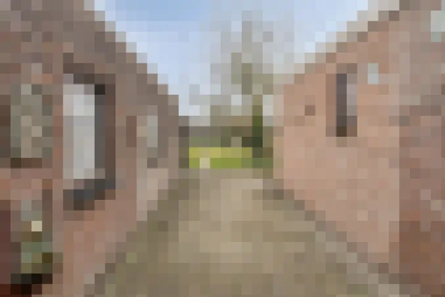 Ferdinand Bolstraat 32 Deurne thumbnail 31
