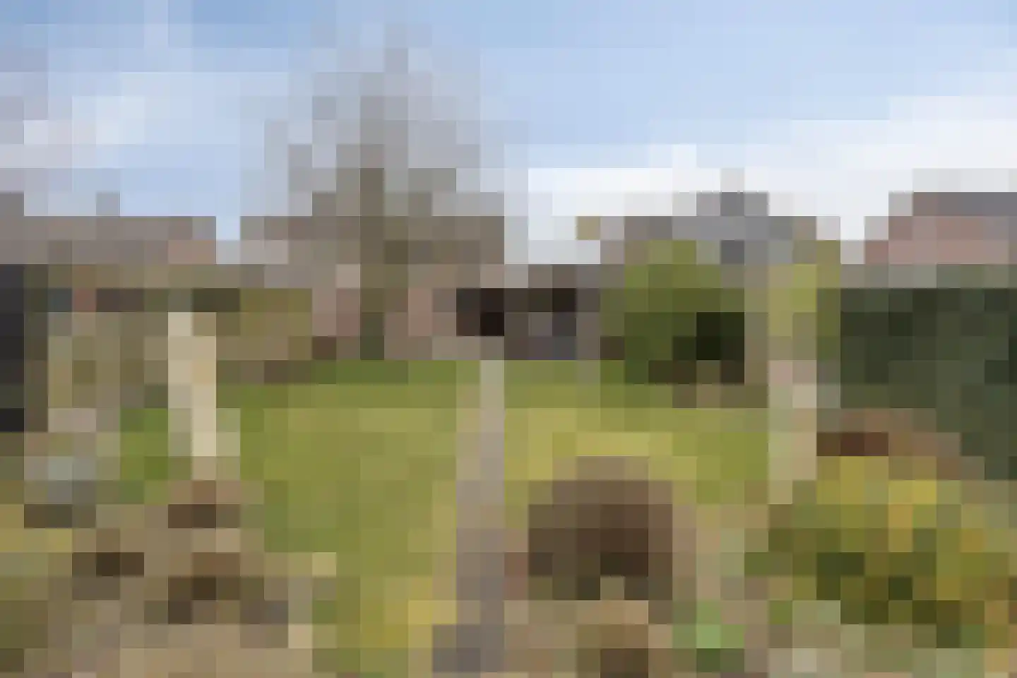 Ferdinand Bolstraat 32 Deurne thumbnail 37