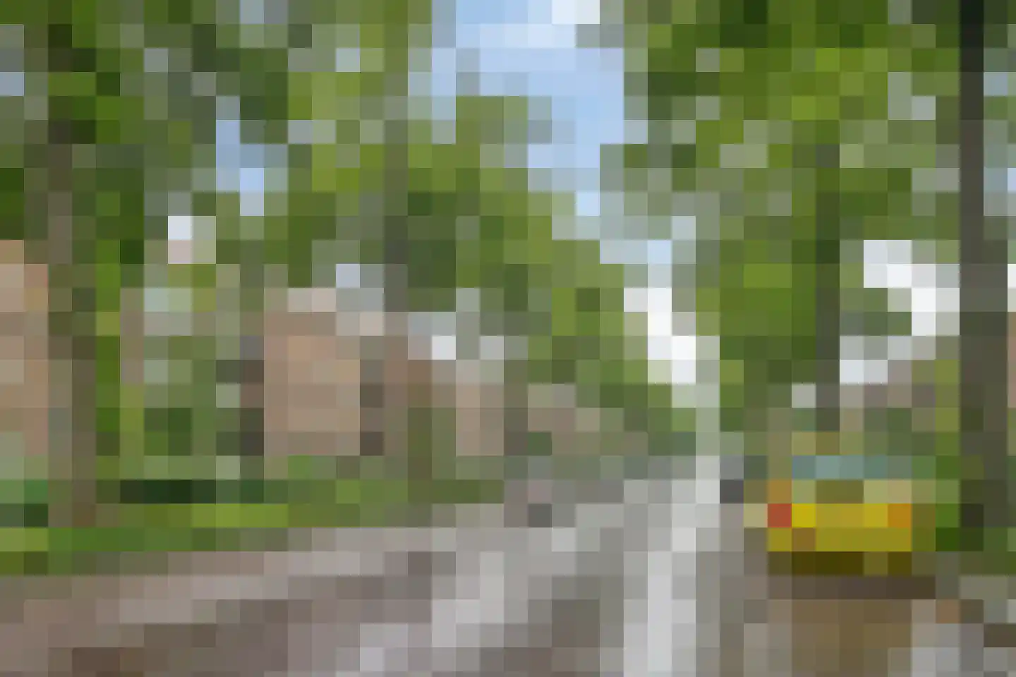 Ferdinand Bolstraat 33 Deventer thumbnail 34