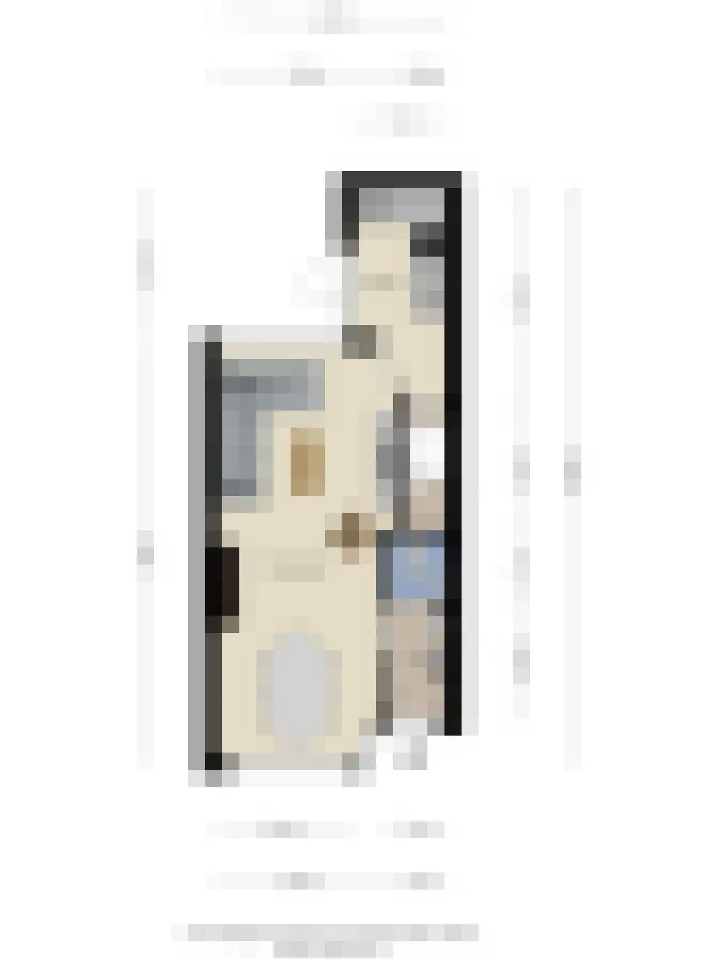 Ferdinand Bolstraat 33 Deventer thumbnail 35