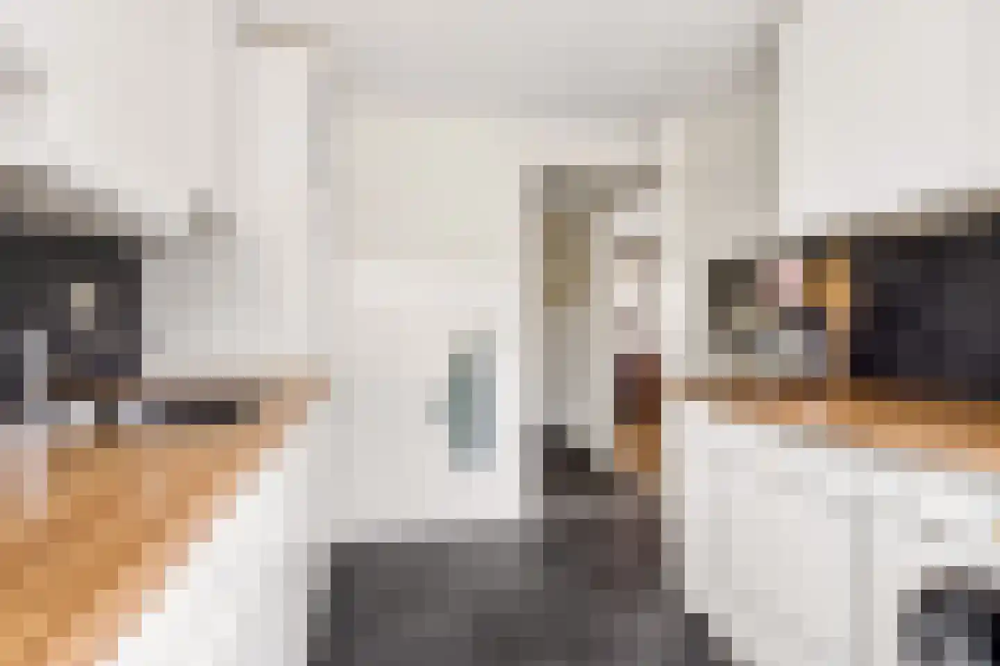 Ferdinand Bolstraat 37 Utrecht thumbnail 14