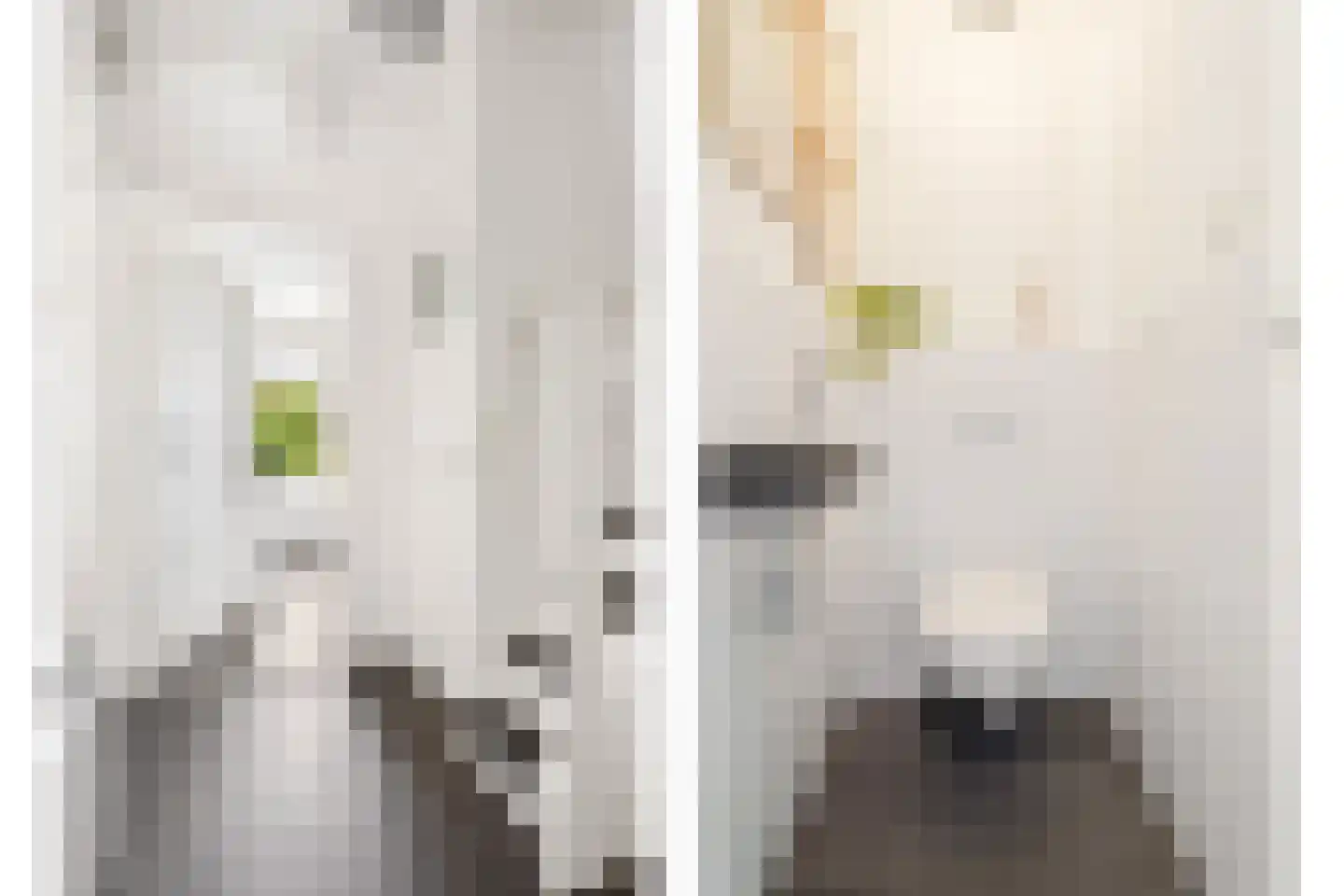 Ferdinand Bolstraat 37 Utrecht thumbnail 16