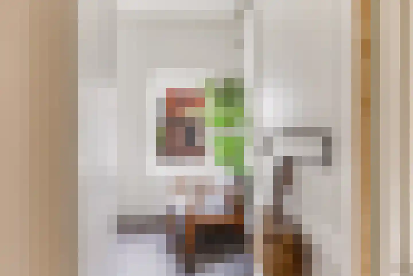 Ferdinand Bolstraat 37 Utrecht thumbnail 17