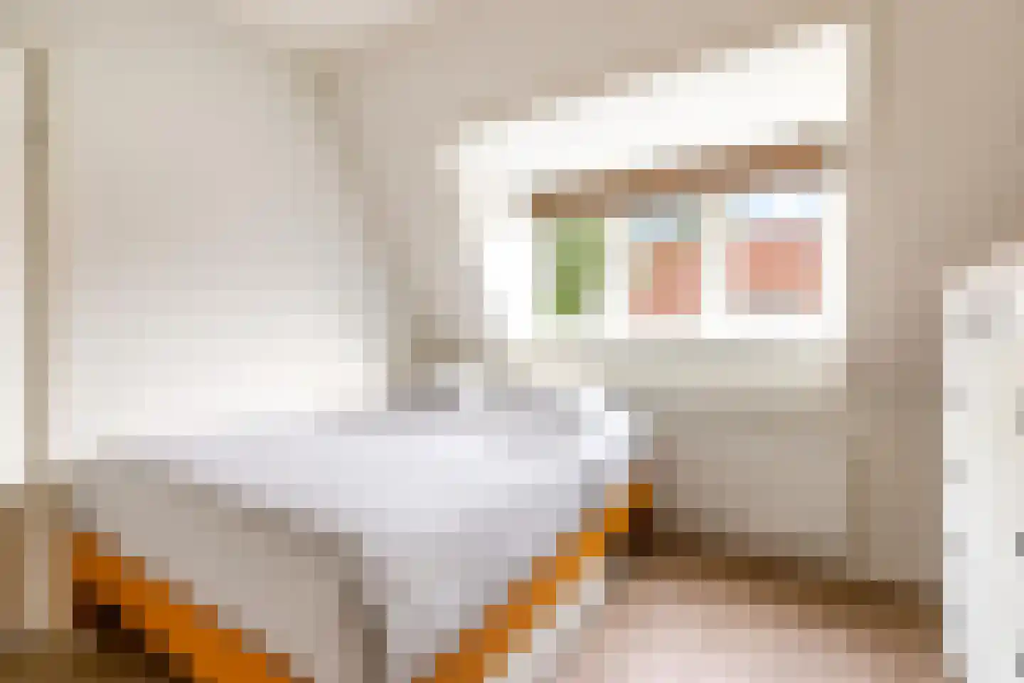 Ferdinand Bolstraat 37 Utrecht thumbnail 25