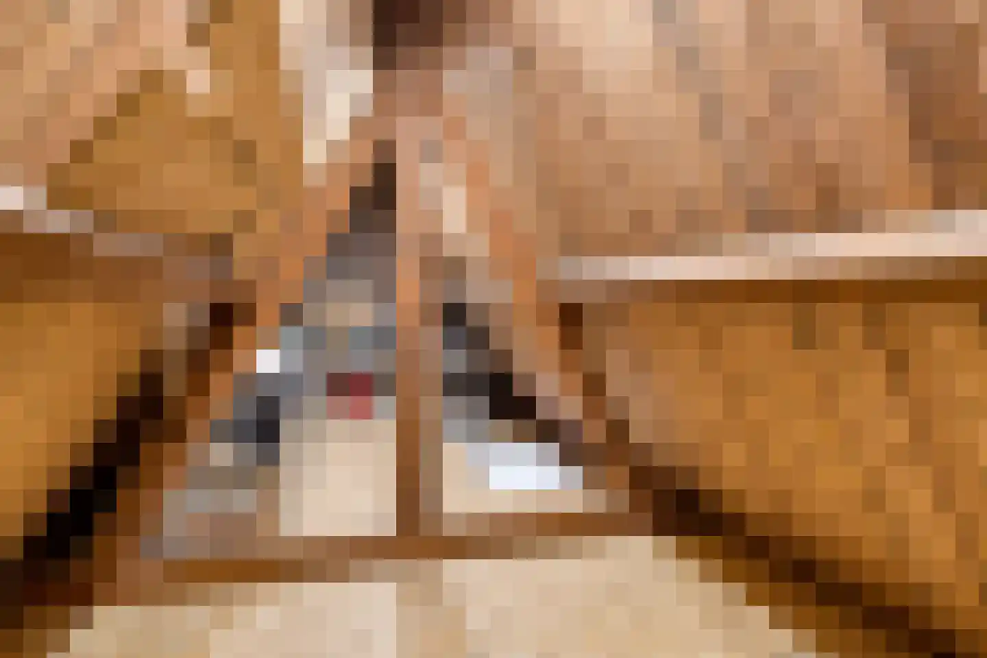 Ferdinand Bolstraat 37 Utrecht thumbnail 26