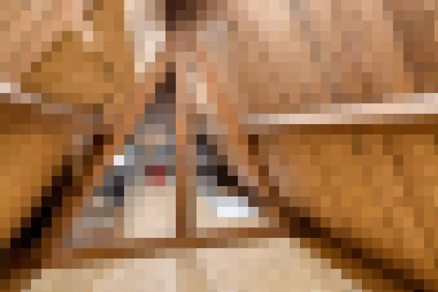Ferdinand Bolstraat 37 Utrecht thumbnail 27