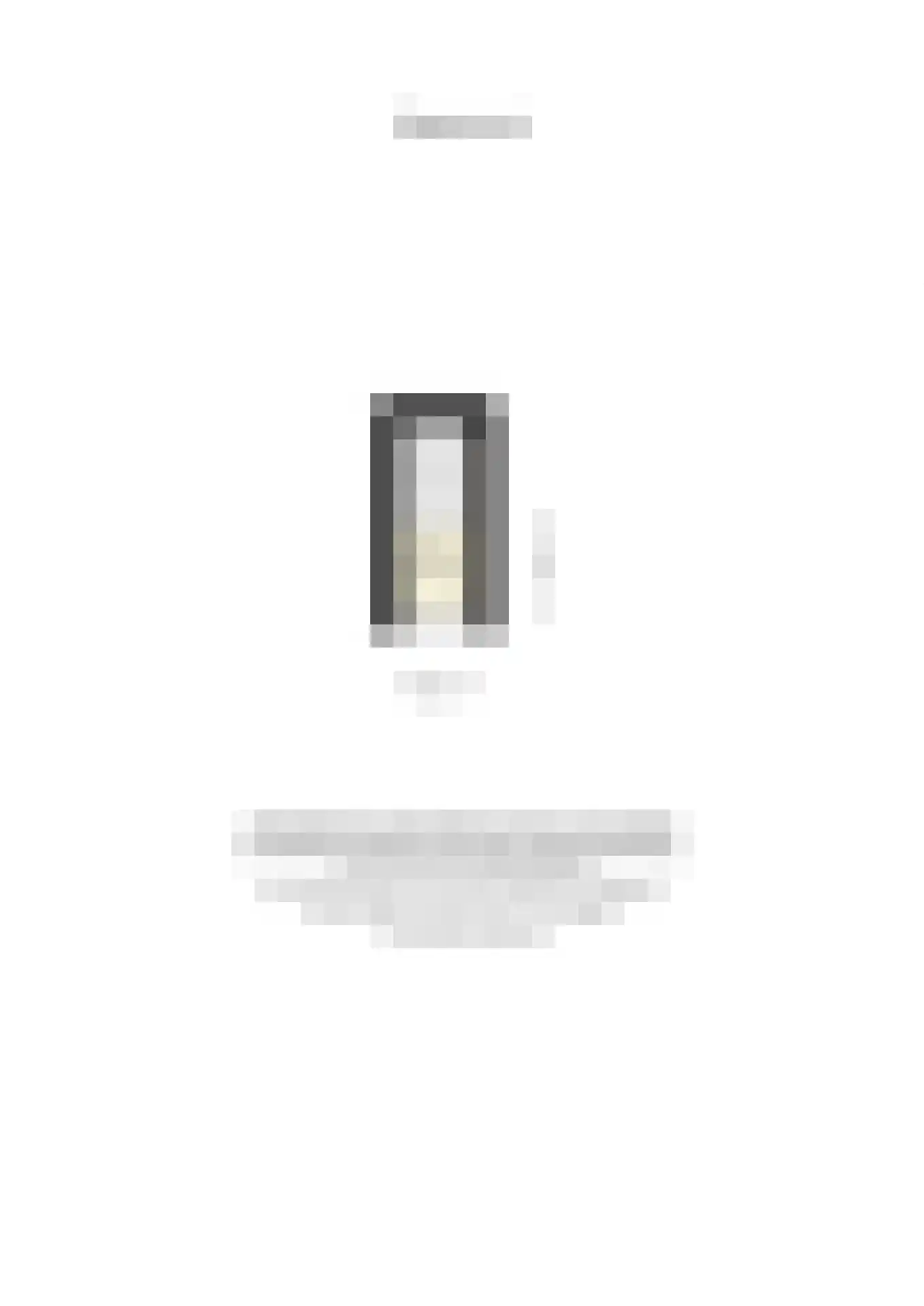 Ferdinand Bolstraat 37 Utrecht thumbnail 34