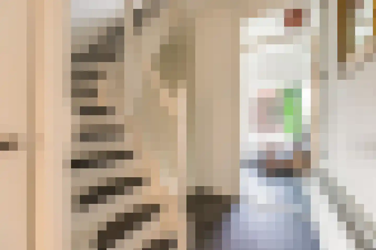 Ferdinand Bolstraat 37 Utrecht thumbnail 5
