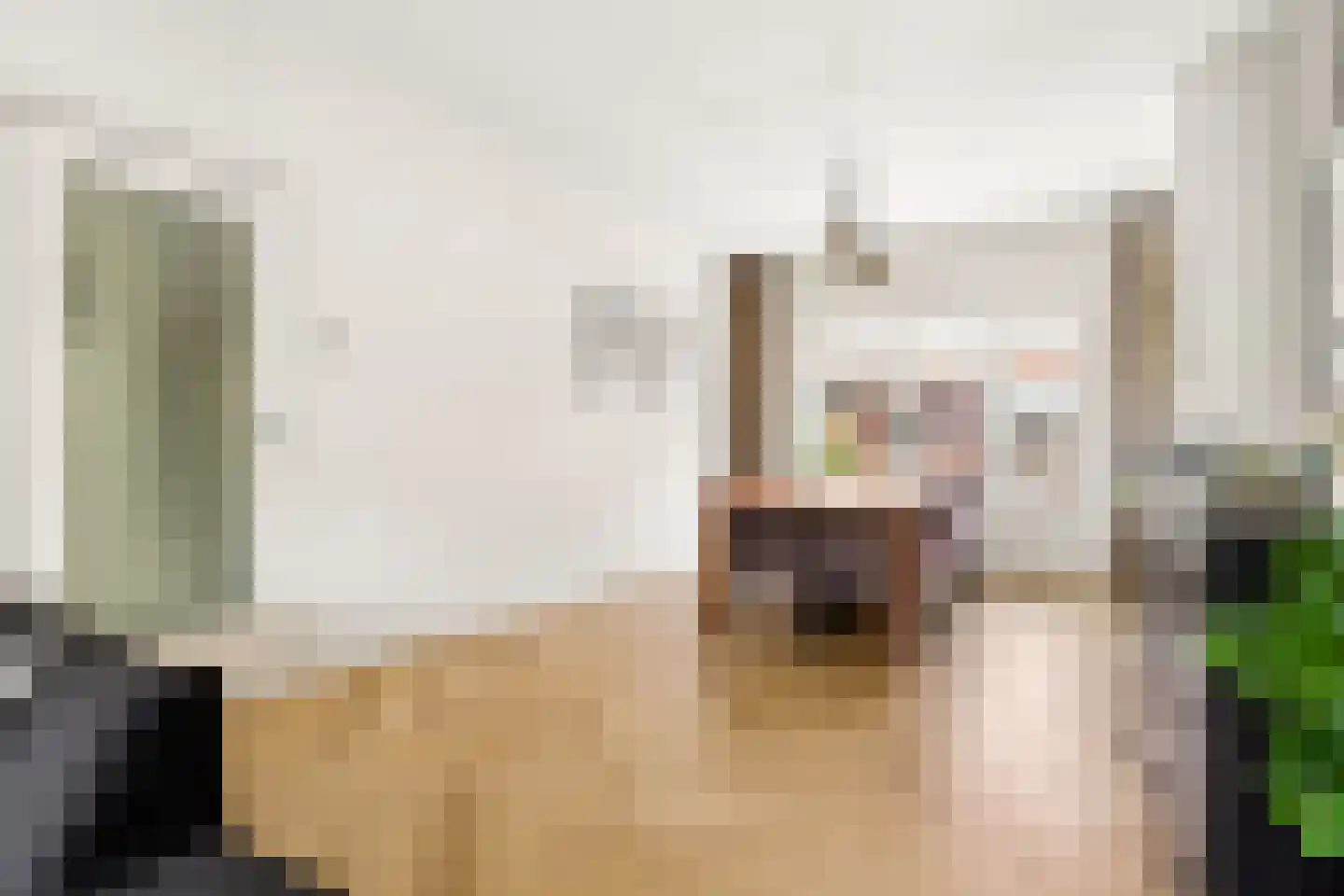 Ferdinand Bolstraat 37 Utrecht thumbnail 7