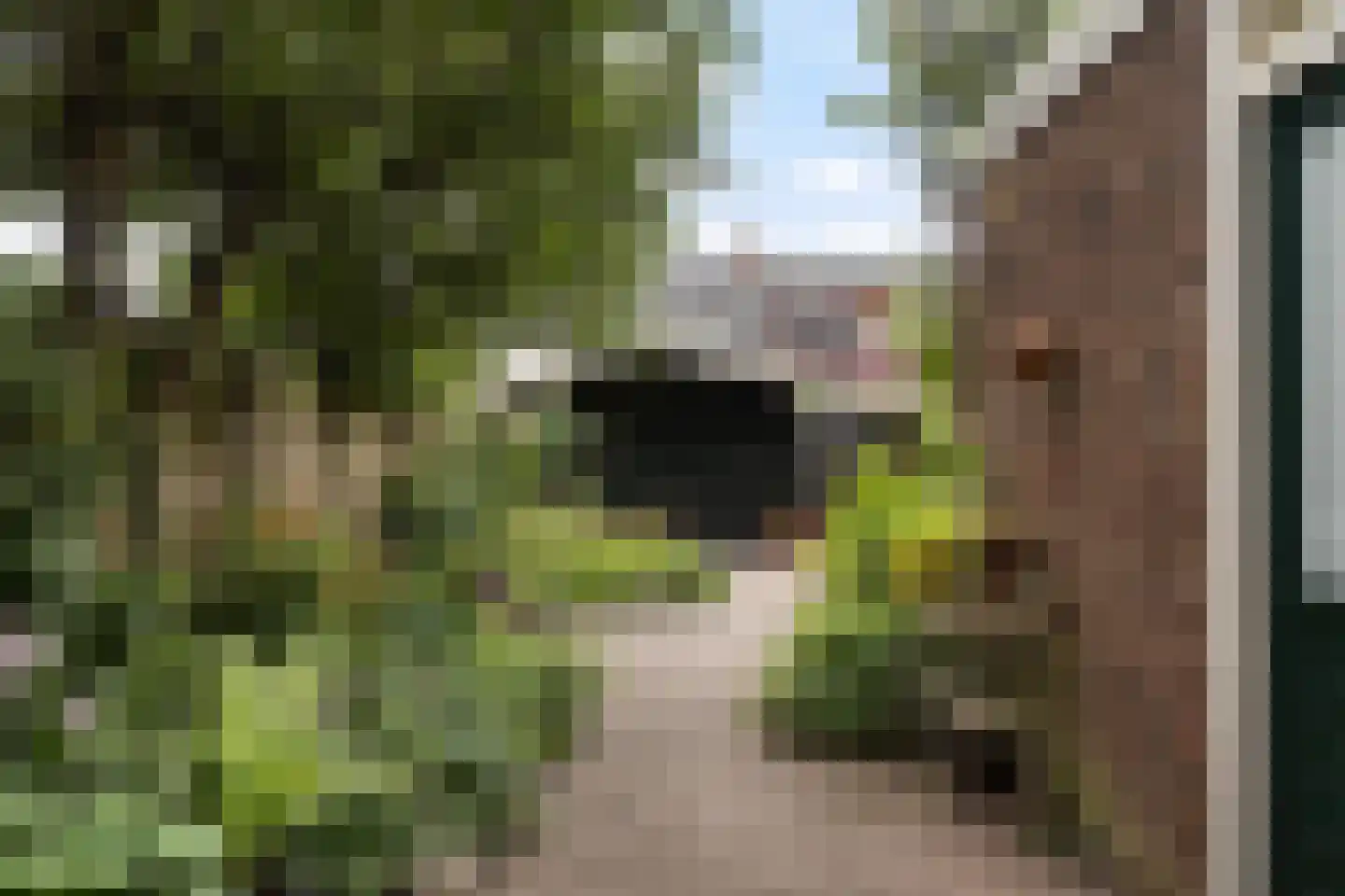 Ferdinand Bolstraat 41 Leeuwarden thumbnail 32