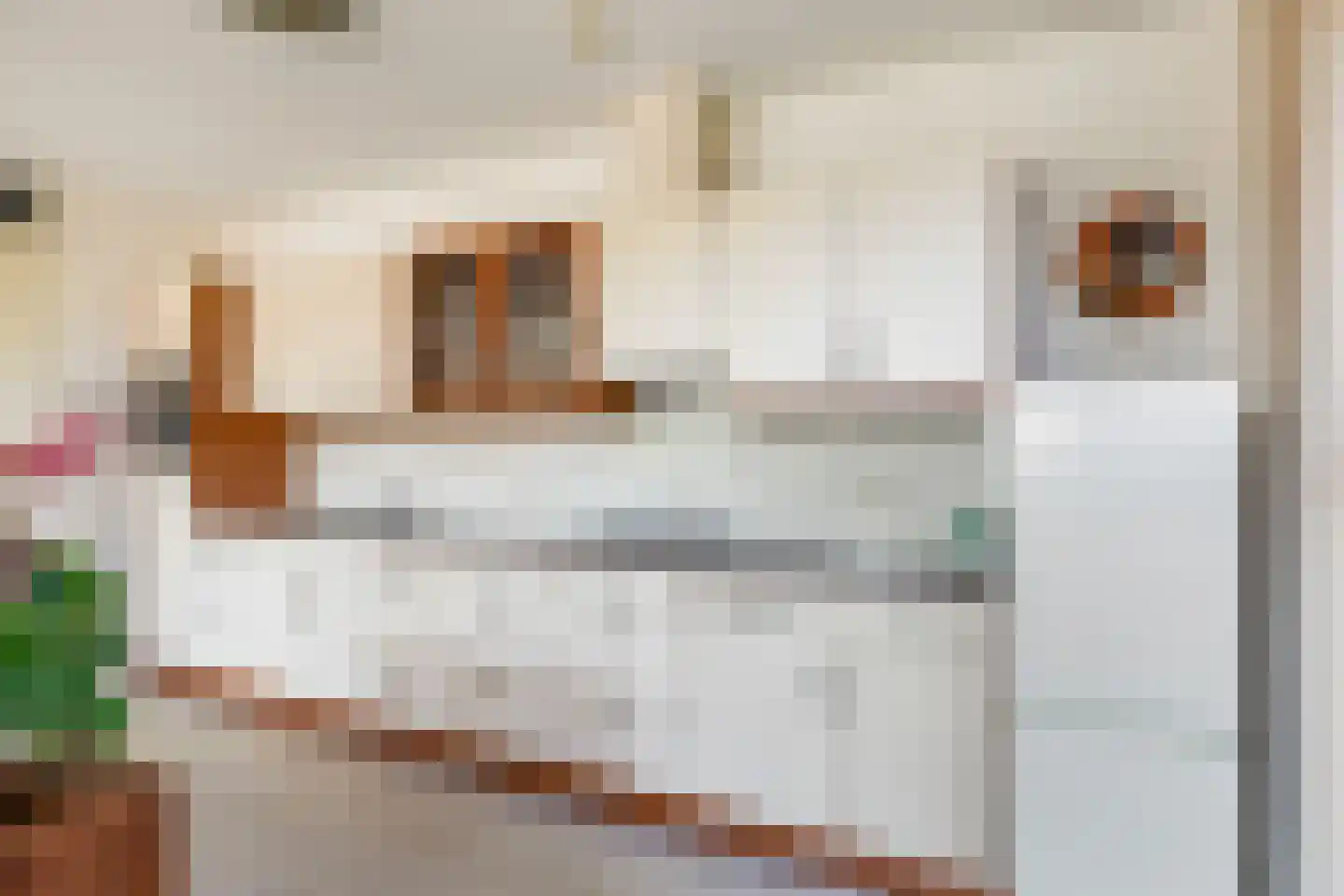 Ferdinand Bolstraat 43 Woerden thumbnail 20