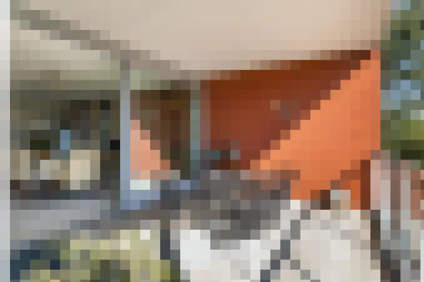 Ferdinand Bolstraat 43 Woerden thumbnail 25