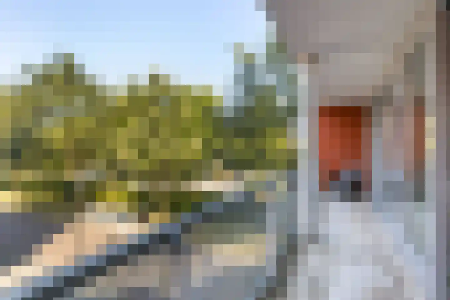 Ferdinand Bolstraat 43 Woerden thumbnail 31