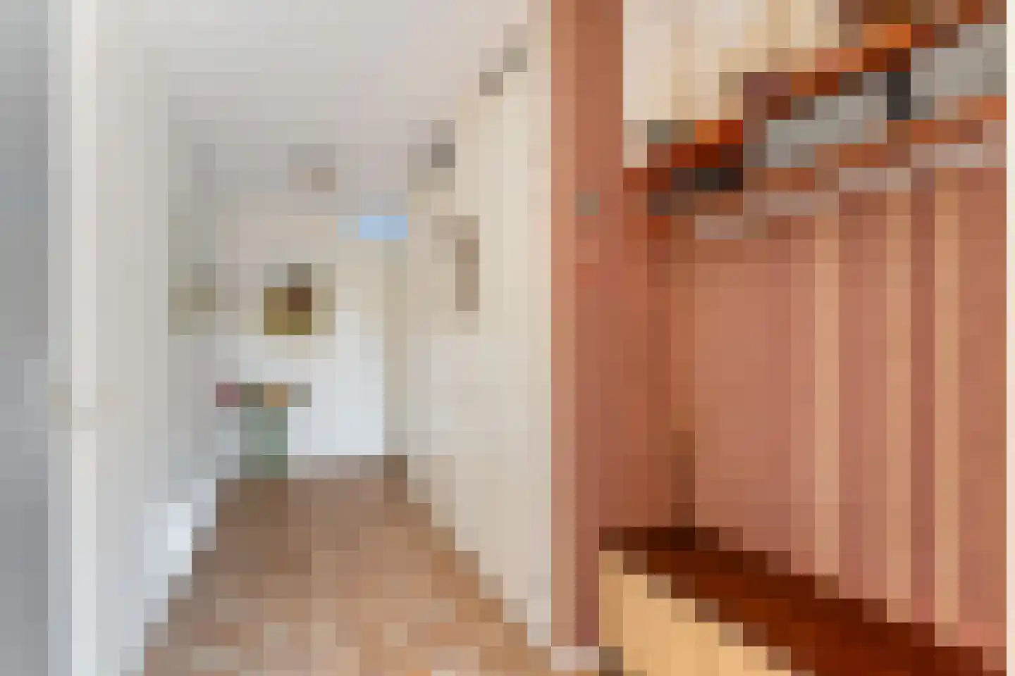 Ferdinand Bolstraat 43 Woerden thumbnail 8