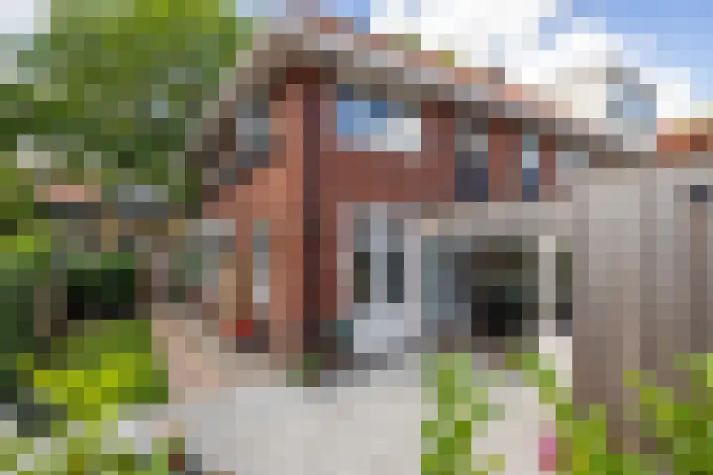 Ferdinand Bolstraat 48 Leeuwarden thumbnail 55