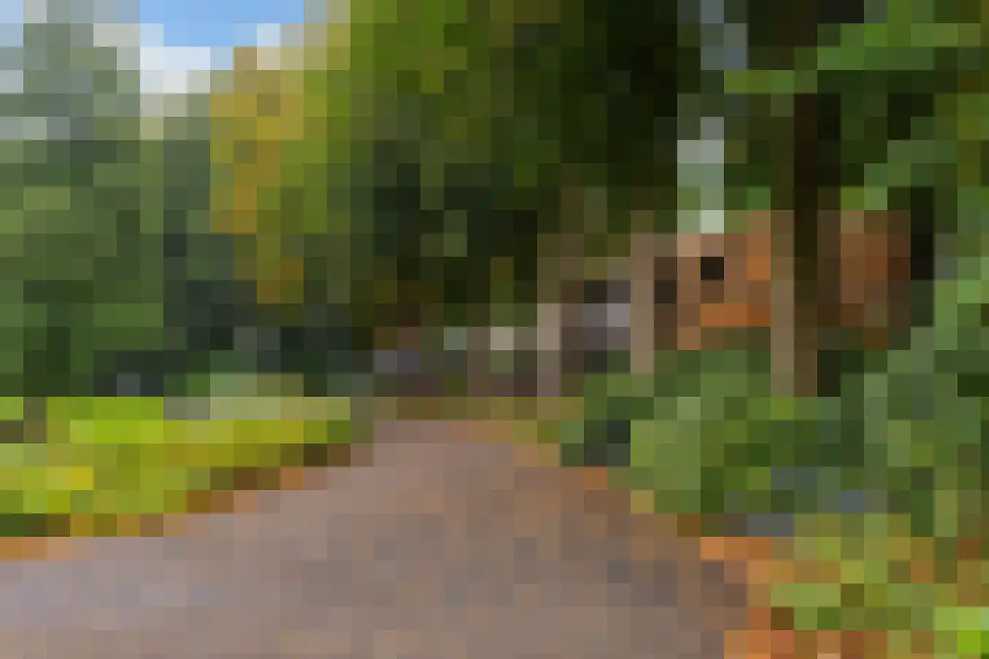 Ferdinand Bolstraat 49 Utrecht thumbnail 31