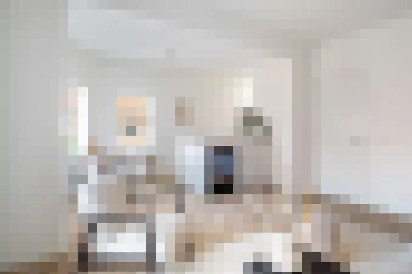 Ferdinand Bolstraat 49 Utrecht thumbnail 6