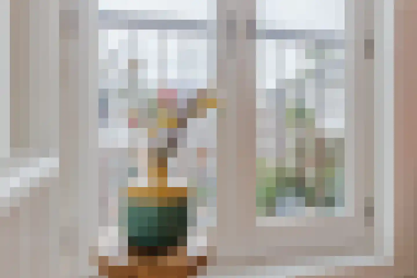 Ferdinand Bolstraat 5 3 Amsterdam thumbnail 20