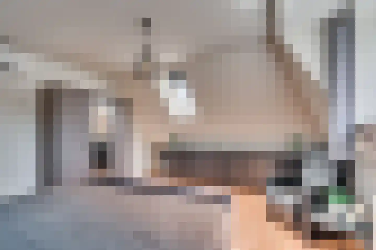 Ferdinand Bolstraat 5 A Venlo thumbnail 23