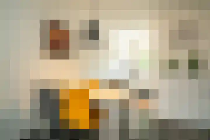 Ferdinand Bolstraat 6 Enschede thumbnail 10