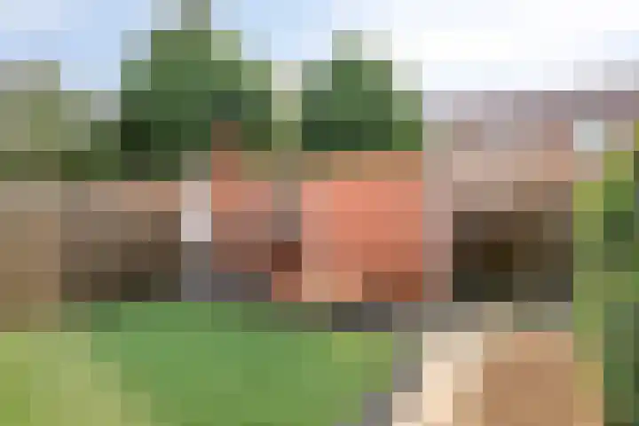 Ferdinand Bolstraat 6 Helmond thumbnail 17