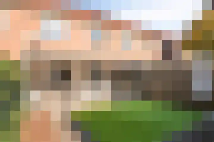 Ferdinand Bolstraat 6 Helmond thumbnail 18