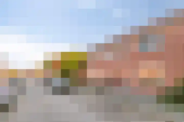 Ferdinand Bolstraat 6 Helmond thumbnail 4