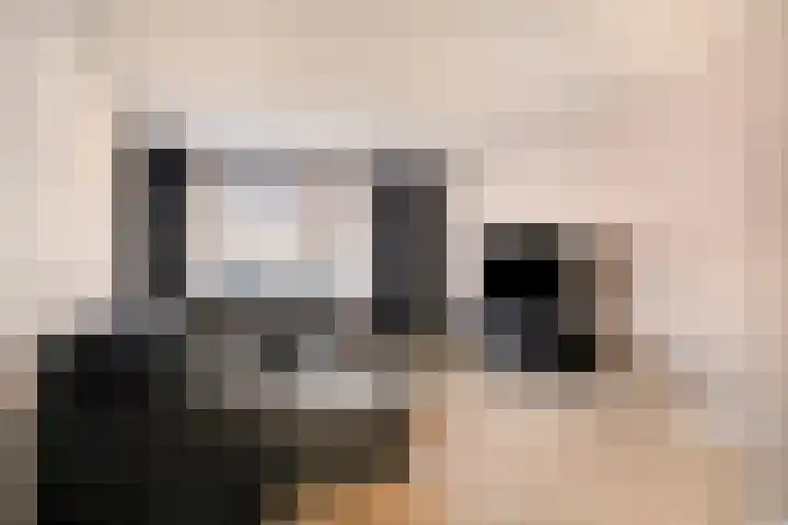 Ferdinand Bolstraat 6 Helmond thumbnail 6