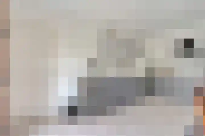 Ferdinand Bolstraat 6 Ommen thumbnail 20