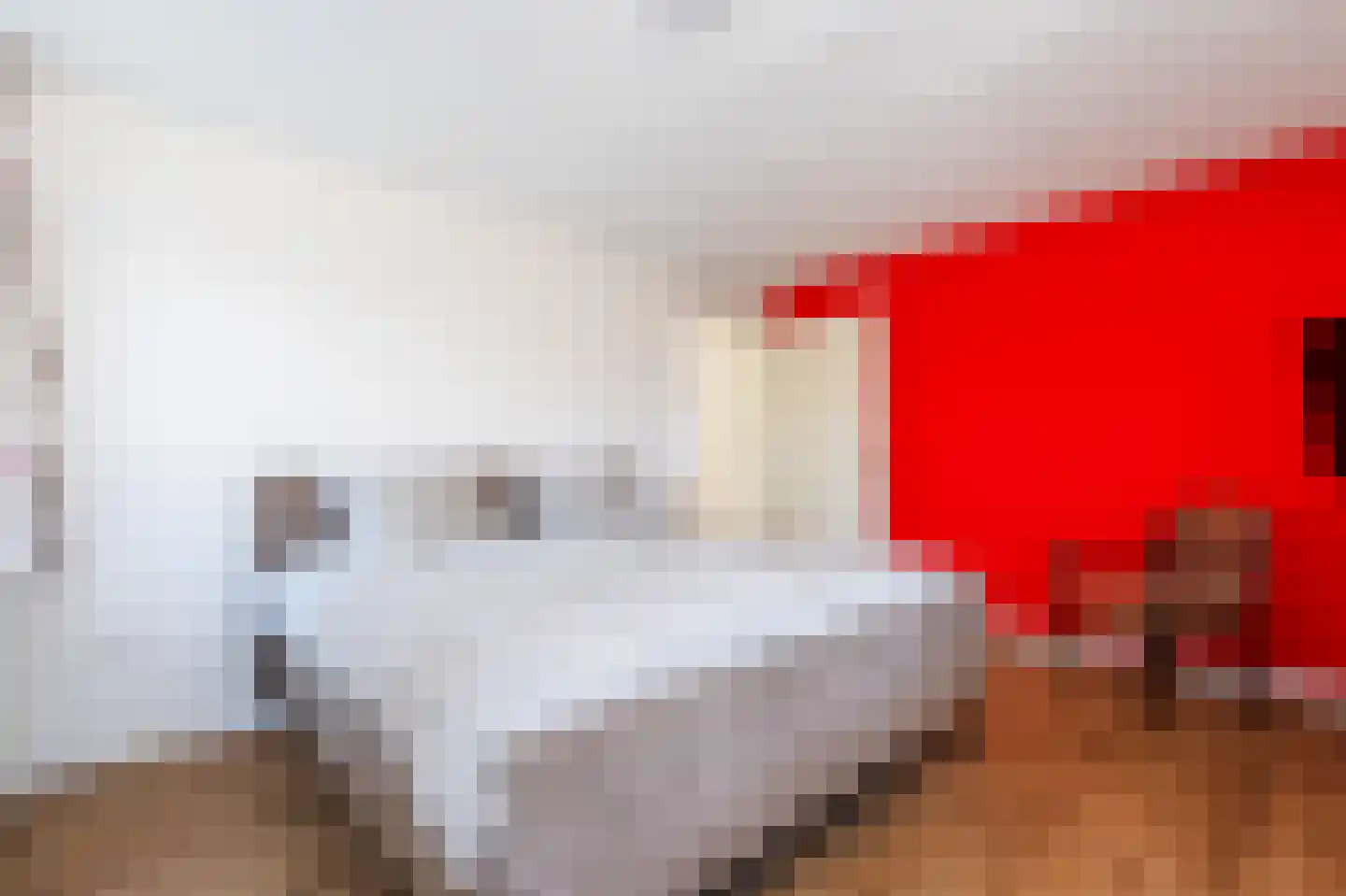 Ferdinand Bolstraat 6 Ommen thumbnail 31