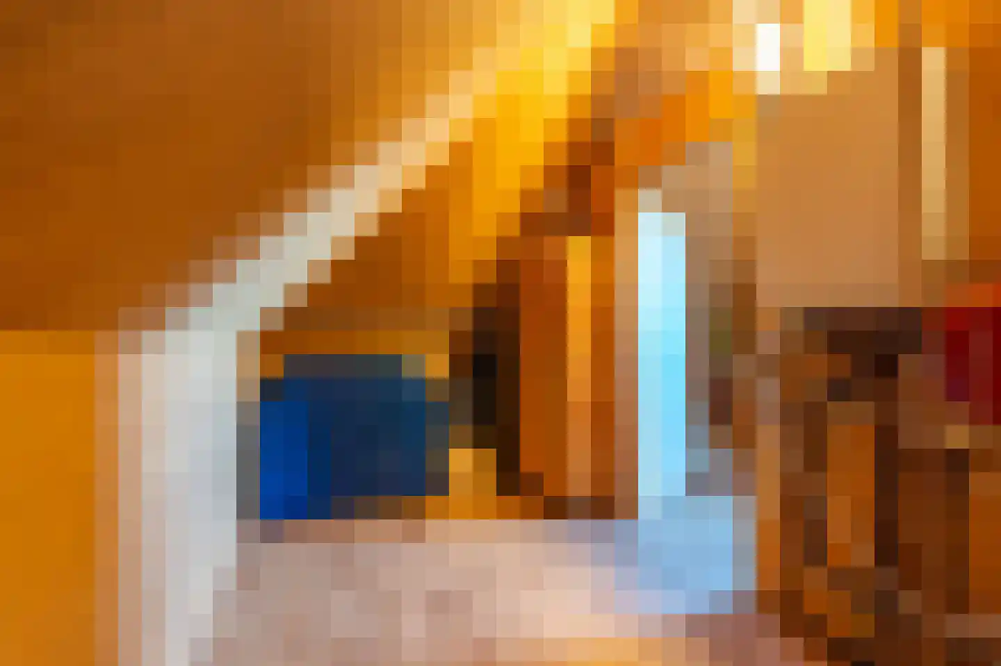 Ferdinand Bolstraat 6 Ommen thumbnail 39