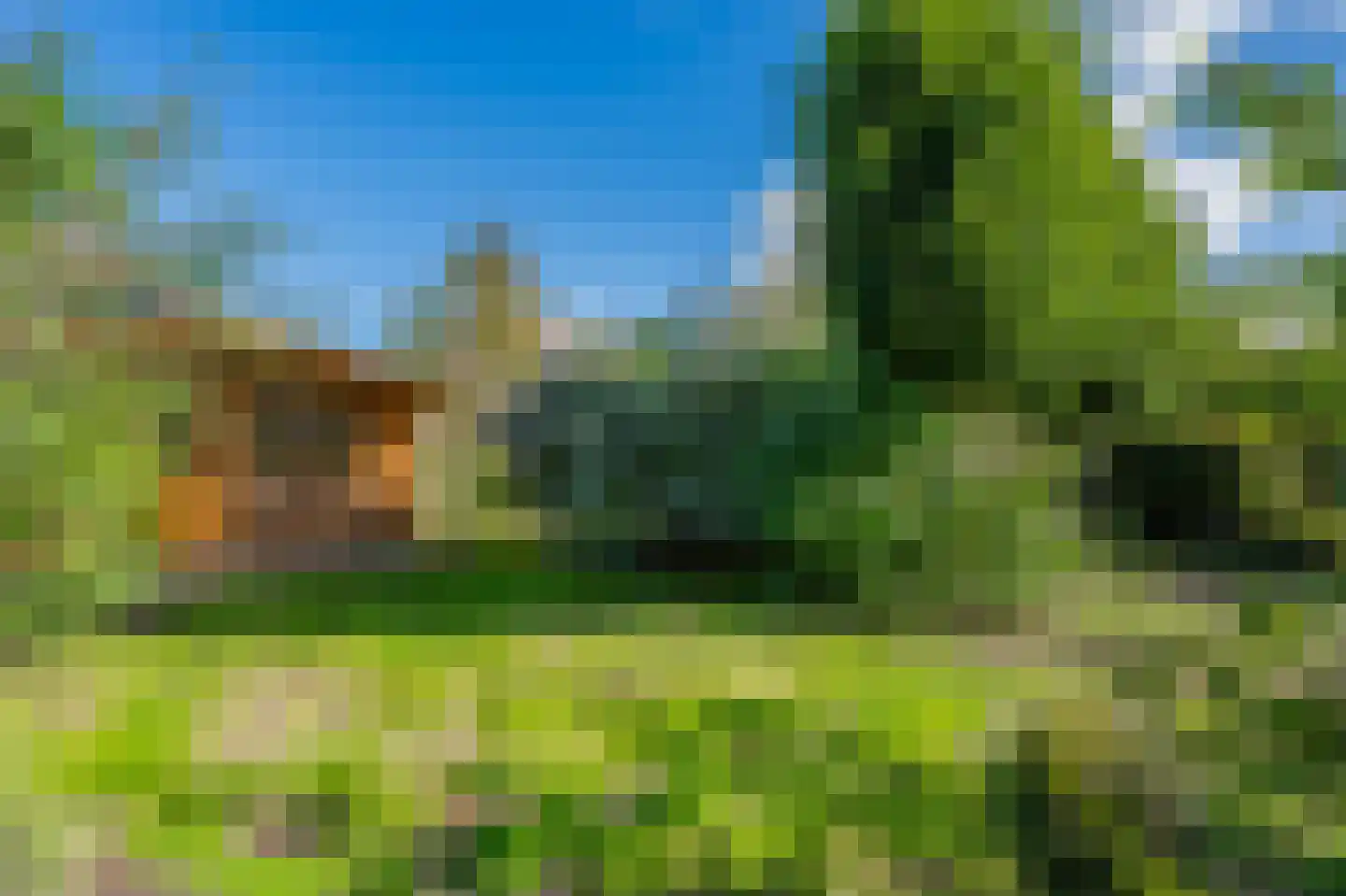 Ferdinand Bolstraat 6 Ommen thumbnail 50