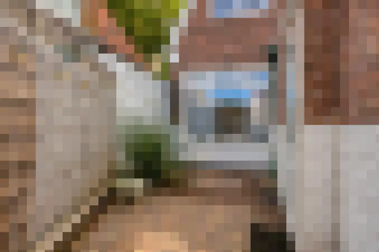 Ferdinand Bolstraat 62 Leeuwarden thumbnail 6