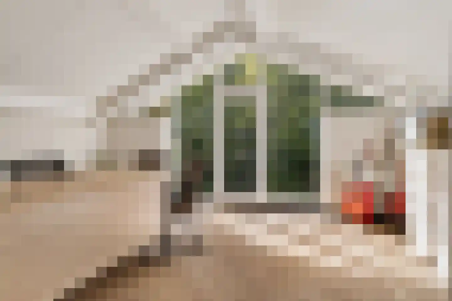 Ferdinand Bolstraat 73 Enschede thumbnail 5