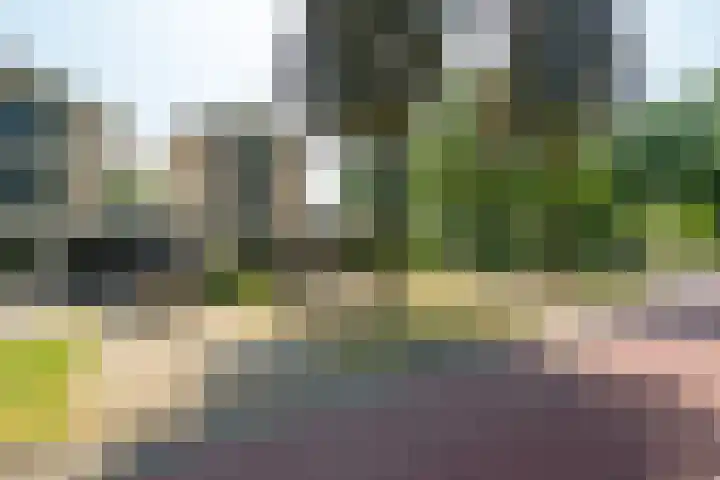 Ferdinand Bolstraat 85 Enschede thumbnail 6