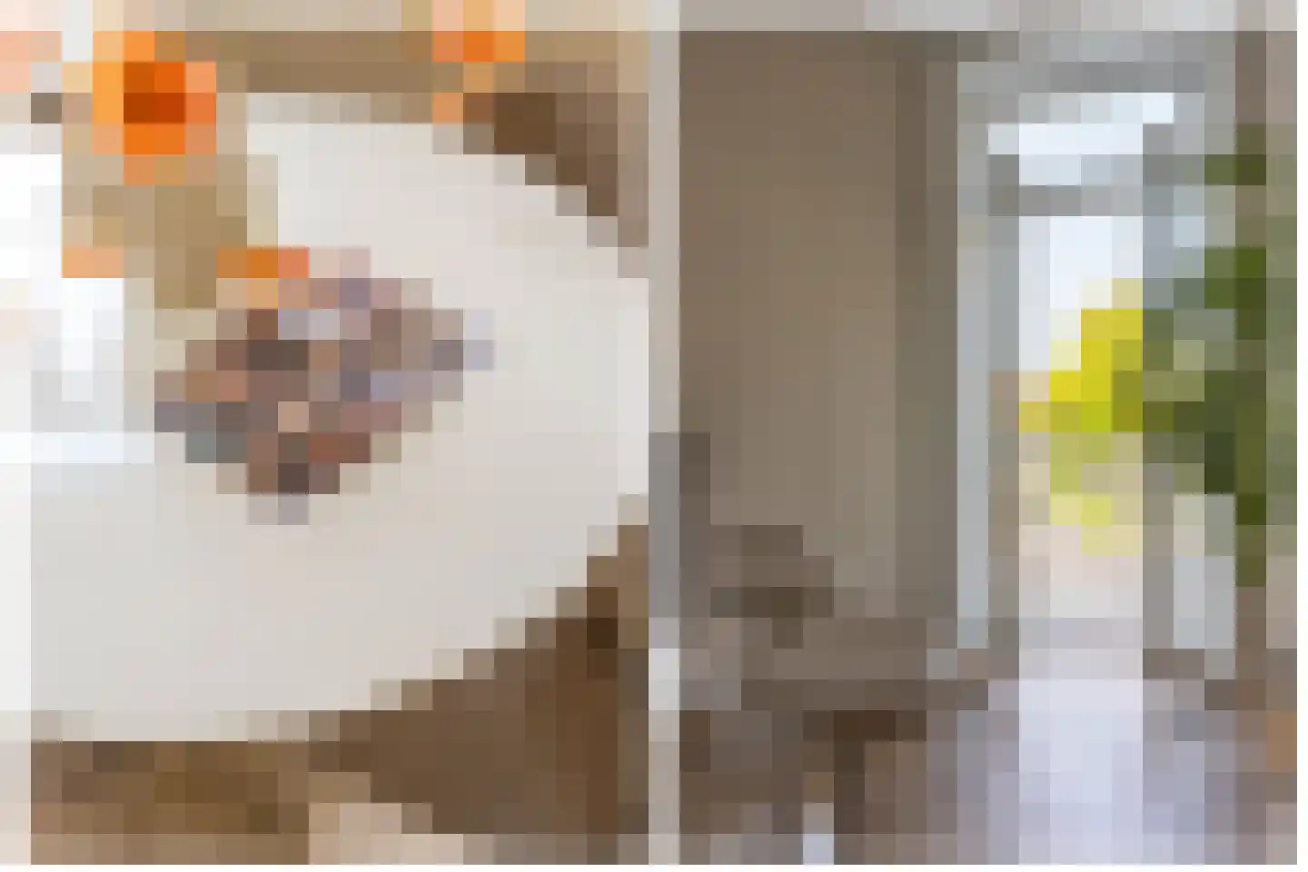 Ferdinand Bolstraat 9 BS Utrecht thumbnail 11