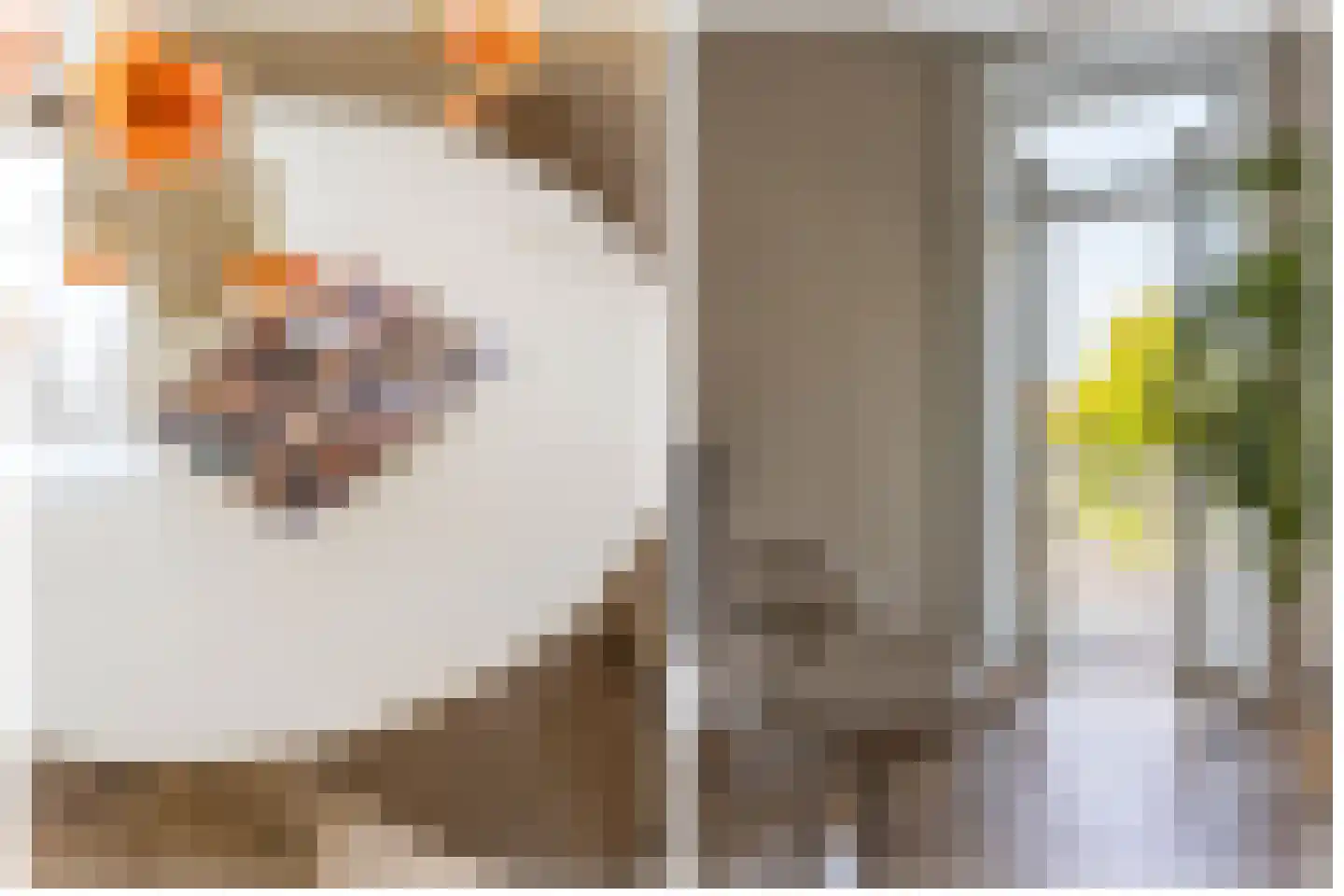 Ferdinand Bolstraat 9 BS Utrecht thumbnail 13