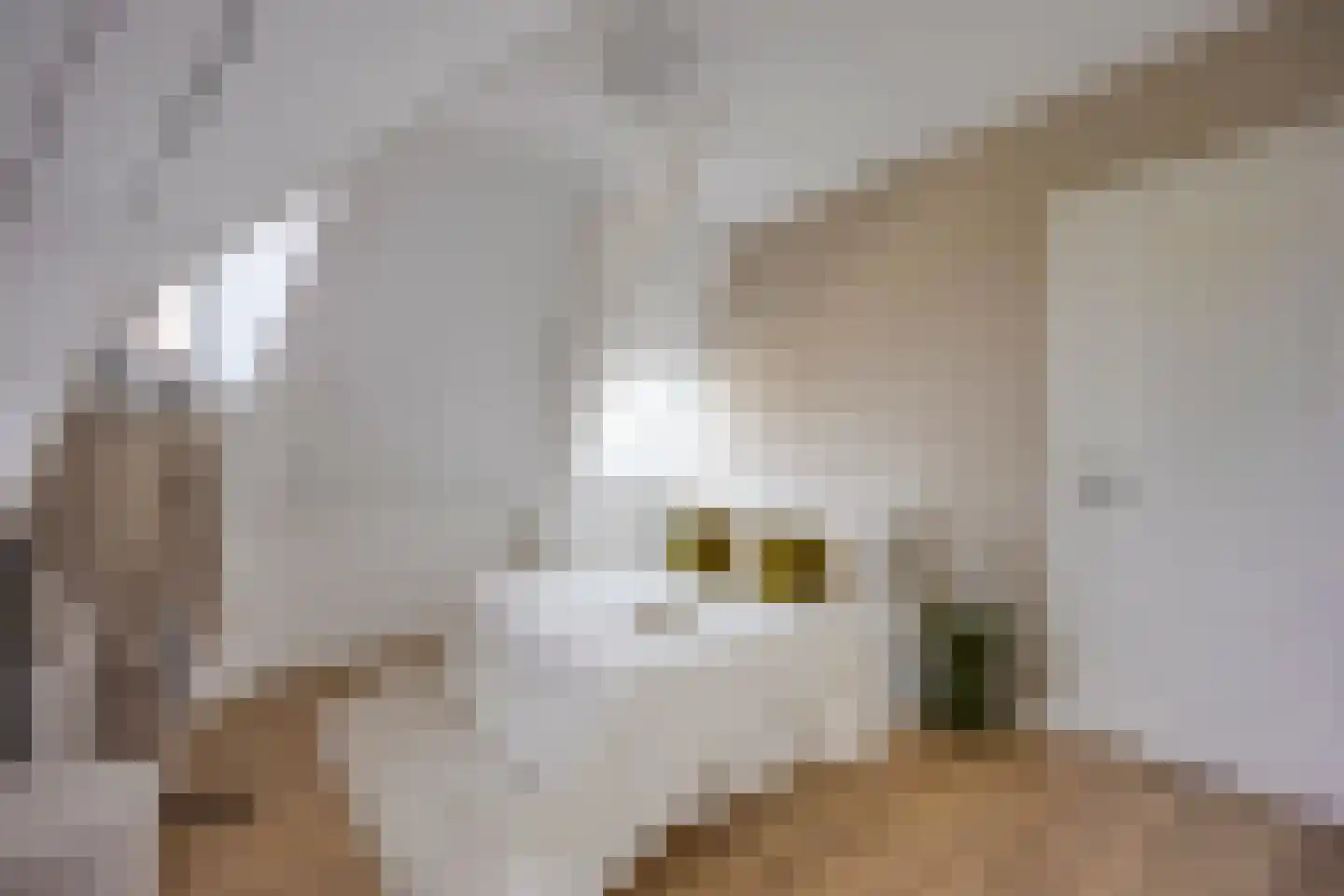 Ferdinand Bolstraat 9 BS Utrecht thumbnail 29