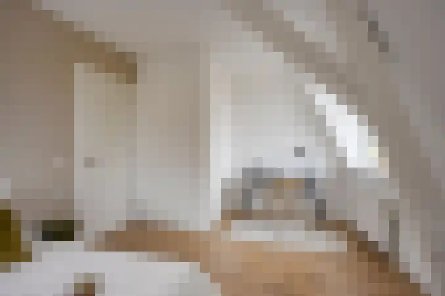 Ferdinand Bolstraat 9 BS Utrecht thumbnail 30