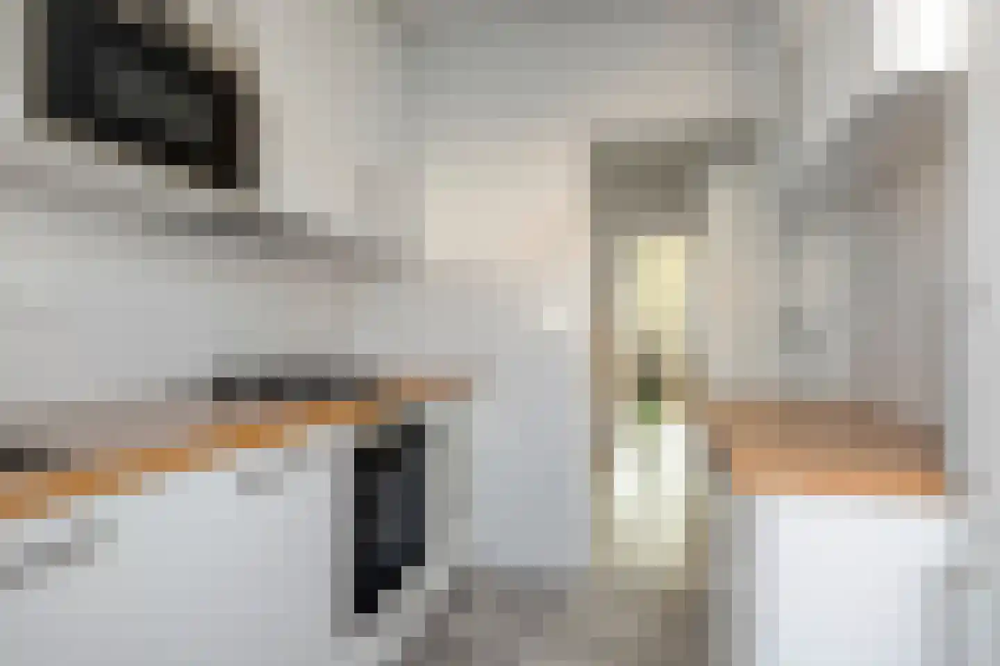 Ferdinand Bolweg 61 Amstelveen thumbnail 12