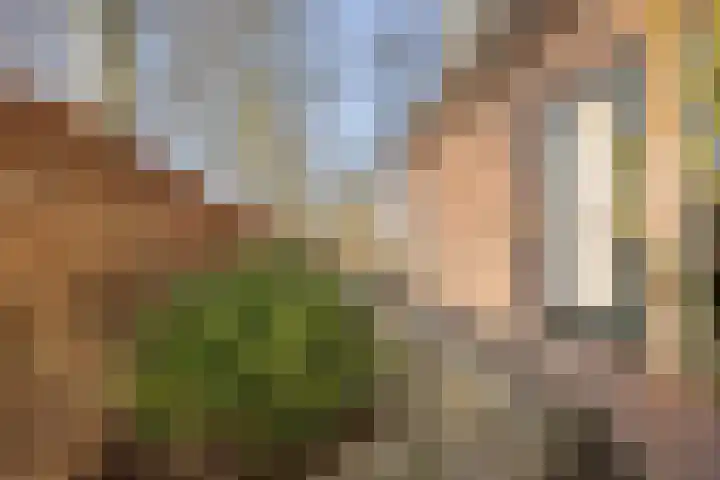 Ferdinand Bordewijkstraat 19 Wageningen thumbnail 36