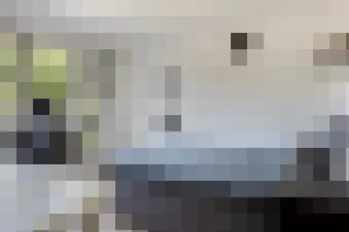 Ferdinand Huyckburg 12 Capelle aan den IJssel thumbnail 17