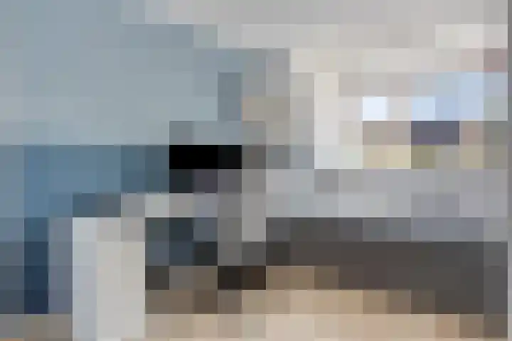 Ferdinand Huyckburg 12 Capelle aan den IJssel thumbnail 18