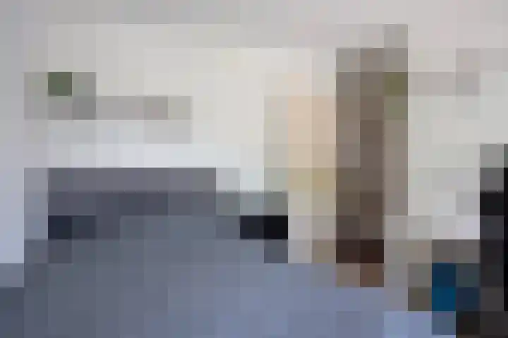 Ferdinand Huyckburg 12 Capelle aan den IJssel thumbnail 19