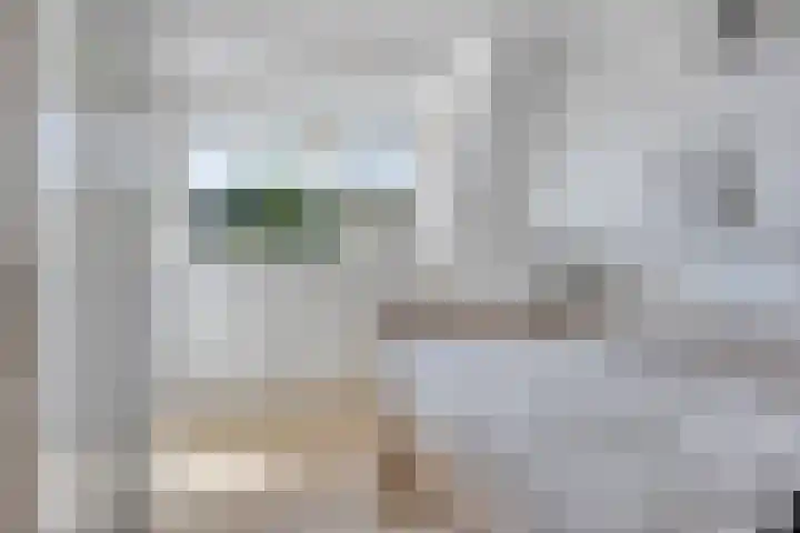 Ferdinand Huyckburg 12 Capelle aan den IJssel thumbnail 21