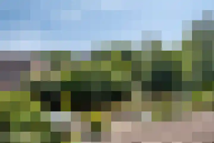 Ferdinand Huyckburg 12 Capelle aan den IJssel thumbnail 28